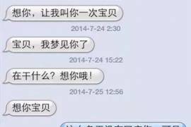 惠城为什么选择专业追讨公司来处理您的债务纠纷？